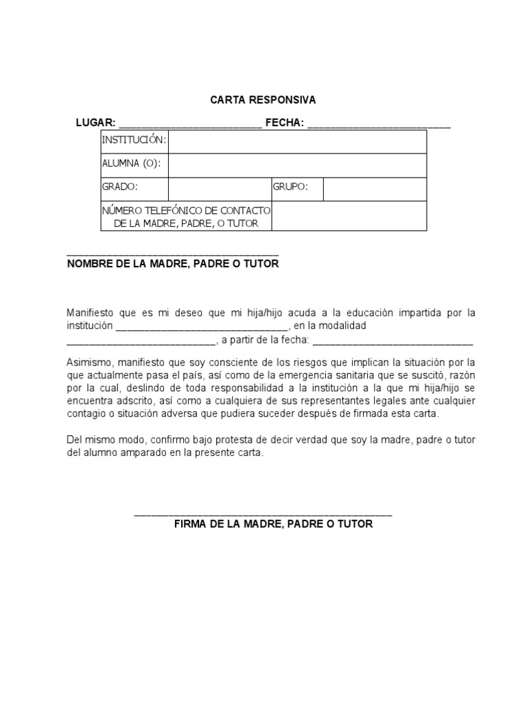 Carta Responsiva Melchor Ocampo PDF