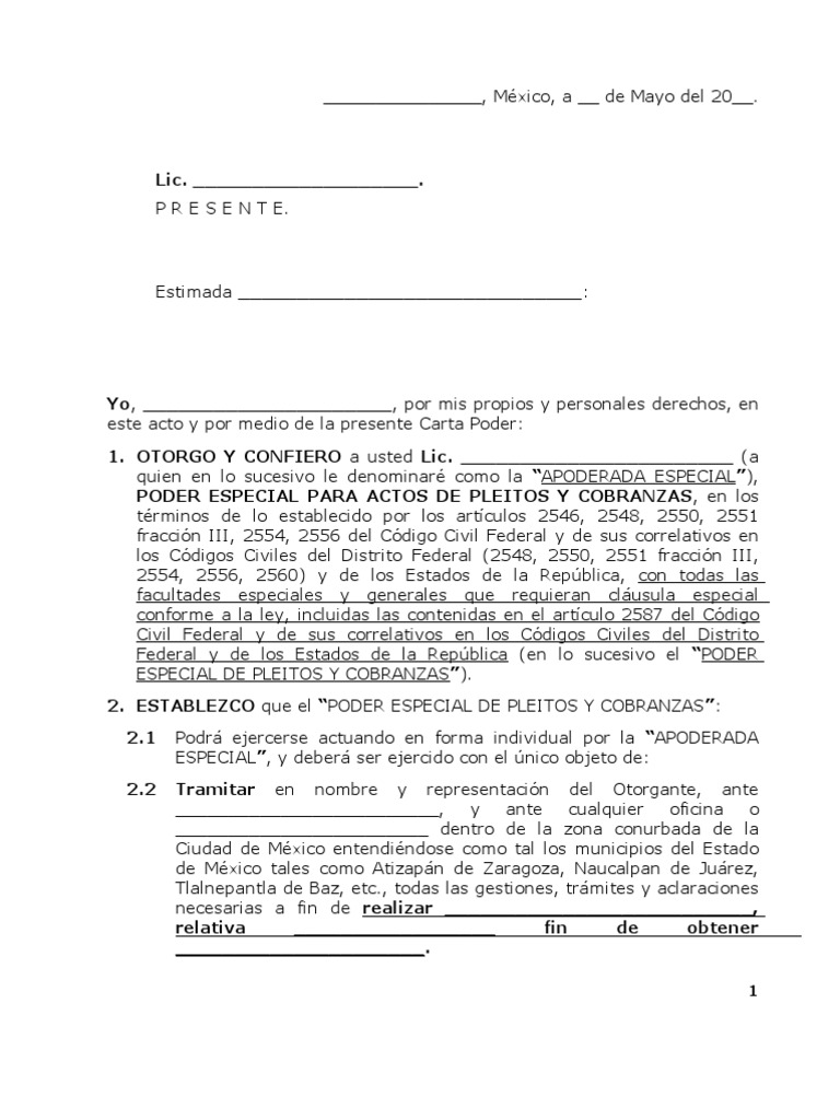 Formato Carta Poder  PDF  Ciudad de México  Gobierno