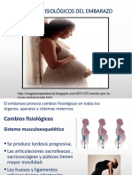 Fisiología Del Embarazo