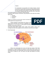 Fungsi Dan Mekanisme Dopamin