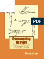 Overcoming Gravity