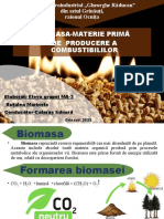 Biomasa B.M. MA-3 2022 — corectat