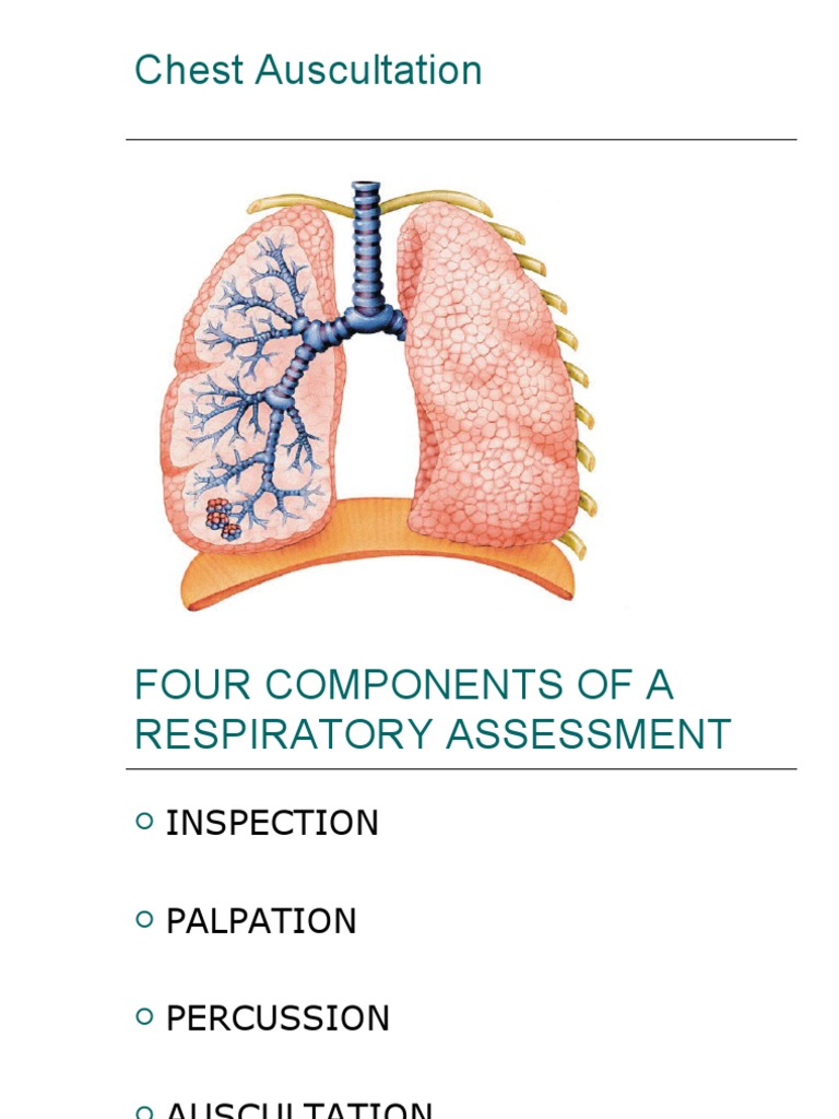 A Comprehensive Guide to Performing a Respiratory Assessment Through ...