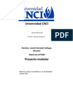 Proyecto Modular Calculo Diferencial