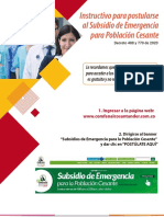 Instructivo Emergencia Poblacion Cesante