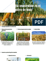 Tecnología Insostenible en El Cultivo de Maíz - GRUPO 1-2