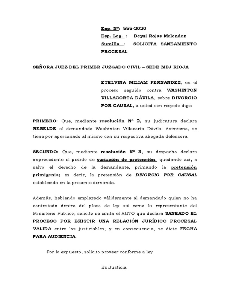 Solicito Se Declare Saneado El Proceso | PDF