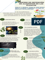 Infografia de Procesos Redox