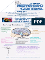 Sistema Nervioso Central