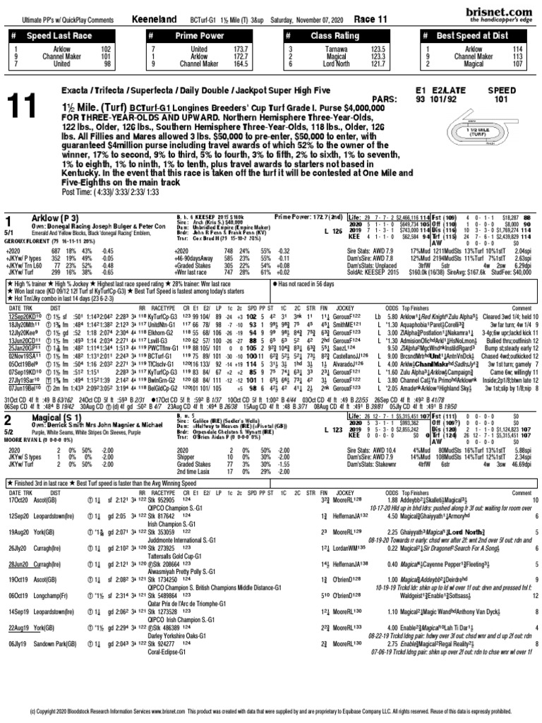 2020 Breeders Cup Turf PDF