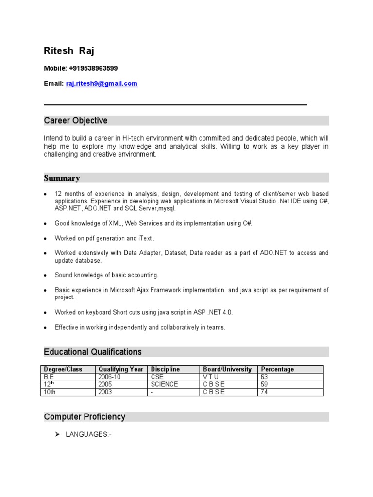 Software Engineer Resume | PDF | Web Application | World Wide Web