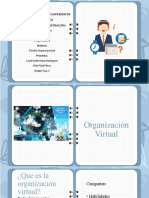 Organizacion Virtual - 015618