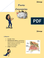 Flash Card Pares Craneales