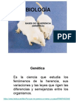 Biología Genética