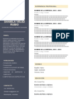 curriculum-vitae-