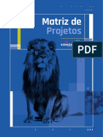 Matriz Projetos