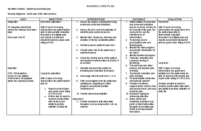 Nursing Care Plan for Labor Pain | PDF | Pain | Childbirth