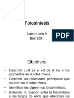 Fotosintesis 1