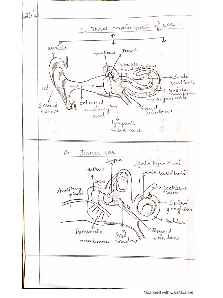 Ass 2 | PDF