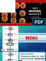 Unit 2: Meiosis