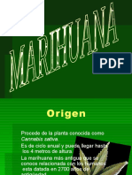 Origen Marihuana