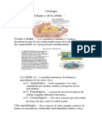 Citología Archivador "Sagrado Corazon"