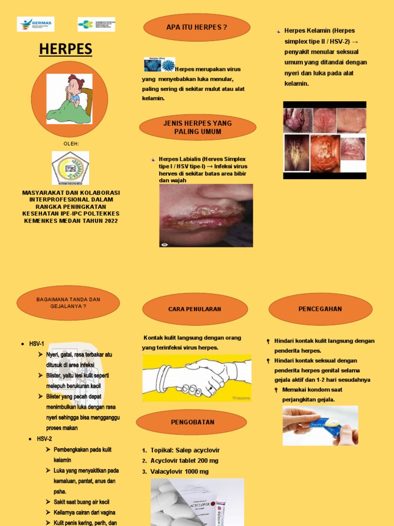 Leaflet Herpes | PDF