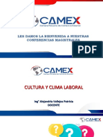 Cultura y Clima Organizacional 2