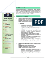 Curriculum Vitae - JORDY 2018 (Dic) ACTUALIZADO