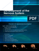 Development of The Nervous System