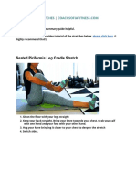 Piriformis Stretches PDF Download