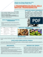 Organismos Transgénicos en El Día A Día Alimentos Transgénicos.