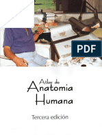 Pdfcoffee.com Atlas de Anatomia Humana Netter 7 PDF Free