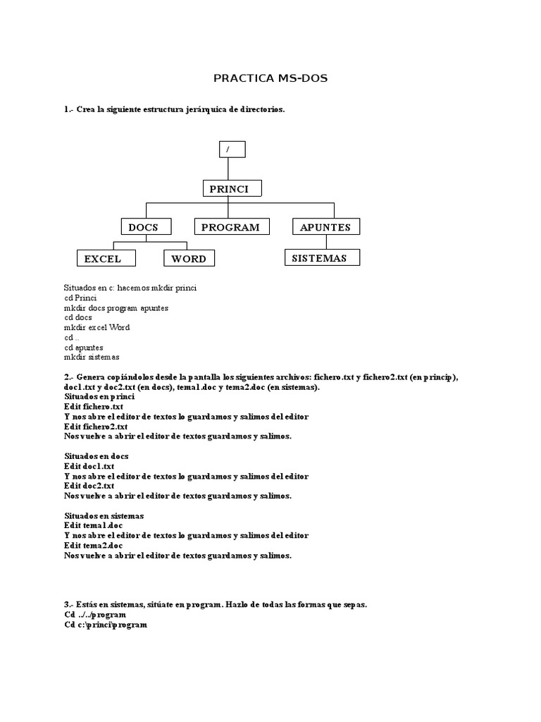 Ejercicios Ms Dos | PDF | Archivo de computadora | Directorio (Computación)