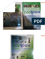 Resume Cours-Zoo-2021-Regne-Animal Et Protozoaire GH