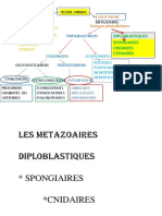 Resume Cours Spongiares Cnidaires Ctenaires 2021