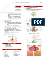 Endocrine System Notes