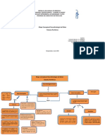 Mapa Conceptual Neurofisiologia Del Dolor Listo1