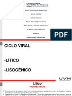 Ciclo viral