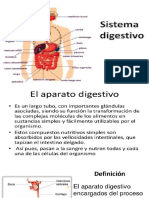 Aparato Digestivo