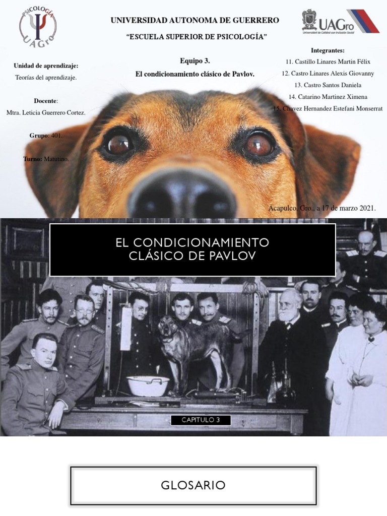 El Condicionamiento Clásico de Pavlov | PDF | Aprendizaje | Comportamiento