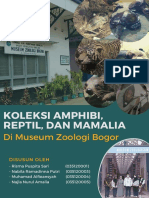 Buku Museum Zoologi Bogor