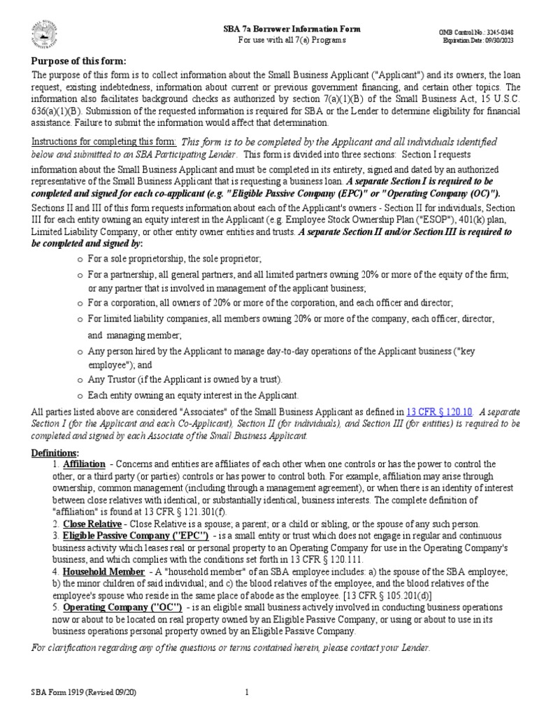 Sba Form 1919 Pdf