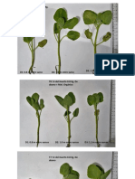 Crecimiento de Cuatro Variedades de Quinua, Con 3 Niveles de Fertilizacion y 3 Densidades Capitulo 1