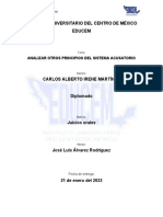 Instituto Universitario Del Centro de México Analisis Del Sistema Acusatorio