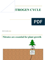 The Nitrogen Cycle: © 2016 Paul Billiet