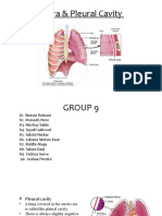 Pleural Cavity