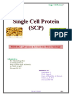 Single Cell Protein (SCP)