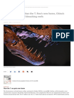 News at A Glance - Stan The T. Rex's New Home, China's Ethics Reviews, and Bleaching Reefs - Science - AAAS