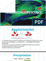 Immuno Fluorescence